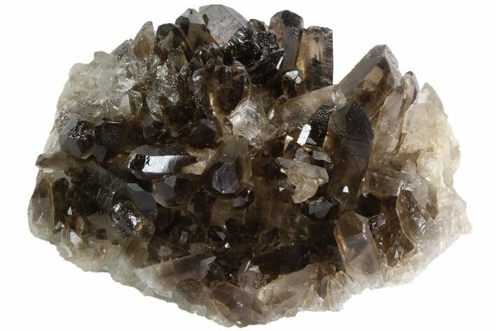 Dark Smoky Quartz Crystal Cluster - Brazil #84834